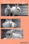 Jersey Wooly Rabbits Carousel 5