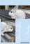 Jersey Wooly Rabbits Carousel 3