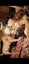 Purebred Labrador Puppies Carousel 2