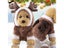 Christmas Dog Clothes Red Coat Pattern Dog Pet Dog Tree Winter Christmas Carousel 5