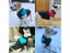 Dog Coat Dog Coats Carousel 4