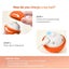 Interactive Dog Ball Toy Carousel 6