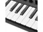 Worlde Panda Mini Portable Mini 25-Key USB Keyboard MIDI Controller And Drum Carousel 5
