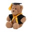 With Heart - Graduation Bear, Soft Toy, Beige, Medium, 20cm H Carousel 3