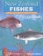 New Zealand Fishes Identification, Natural History and Fisheries by Larry Paul Carousel 1
