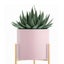 SOGA 2 Layer 42cm Gold Metal Plant Stand with Pink Flower Pot Holder Corner S... Carousel 3