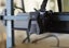ELEGOO NEPTUNE 4 MAX FDM 3D Printer/ Mint Carousel 3