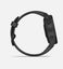 Garmin Pro 6S black Watch Carousel 8