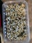 Polished stone package. Carousel 19
