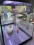 21L fish tank & accessories Carousel 4
