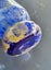 +++ STRIKING HANDBLOWN ART GLASS VASE +++ Carousel 9