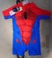 Spiderman Swimming Togs - FREIGHT INCLUDED Carousel 1