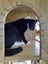 Brave Paws Cat Rescue - Adult - Timmy Carousel 4