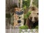 12MP Outdoor Hunting Camera HD Waterproof Infrared Heat Sensing Night Vision Carousel 6