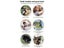 PTN NEW Anti Bark Dog Trainer Sale Sale Carousel 15