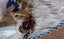 Antique Hat Pin Holder and pins - Carousel 3