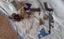 Antique Hat Pin Holder and pins - Carousel 2