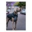 Dog Coat Red Dingo Puffer Black/Grey 40 cm Carousel 3