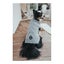 Dog Jumper By Hunter Malm Carousel 4