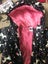 Size5-6 girl merino, socks, jacket bundle Carousel 5