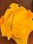 Baby Shark toddler/small kid costume Carousel 6