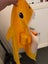 Baby Shark toddler/small kid costume Carousel 11