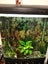 180L tank Carousel 3