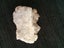 Oreodont Jaw Fragment Carousel 3
