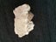 Oreodont Jaw Fragment Carousel 4
