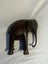 Hand-Carved Wooden Elephant Statue – 20cm Carousel 3