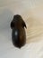 Hand-Carved Wooden Elephant Statue – 20cm Carousel 5