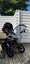 Bugaboo fox pram Carousel 11
