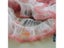 1M 15CM Lace Fabric Trims For Baby Girls Skirts Newborn Birthday Party Carousel 6