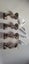 Windsor Stair Rail Brackets x 4 Carousel 1