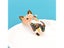 CINDY XIANG Cute Enamel Paint Cat Brooch Pin Animal Design Fashion Jewelry 2 Carousel 7