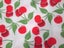 Patty Reed Designs Cherry Print Fabric Piece Carousel 3