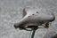 Vintage Butchers Bike, Leader brand UK, GLENFIELD Carousel 7