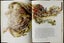 The Wind Between The Stars 1st Edition By Margaret Mahy + Brian Froud (Illus) Carousel 5