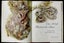 The Wind Between The Stars 1st Edition By Margaret Mahy + Brian Froud (Illus) Carousel 3