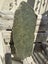 Greenstone/Pounamu Carousel 4