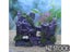 PTN NEW Fish Tank Ornament Sale Sale Carousel 1
