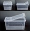 Large (32 x 22 x 15 cm) Terrarium, Transparent, Insect Reptile Amphibious box Carousel 4