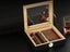 Cigar Humidor for 10 Cigars with Hygrometer and Divider Black Carousel 6