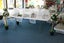 TABLE Master- POP-UP large food-table cover,collapsible Carousel 14