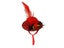 Chicken Hat For Hens Tiny Pets Funny Chicken Accessories Feather Top Hat Carousel 1