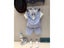 Boys Suit Kids Suit Wedding Party Carousel 7