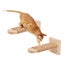 Loading Image 1 of 5
