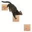 Loading Image 1 of 5