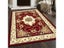 Area Rug Home Carpet Bedroom Carpet Living Room Carpet Luxury Washable Carousel 4