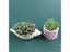 Shell Shape Concrete Flowerpot Mould For DIY Large Conch Succulent Planting Carousel 4